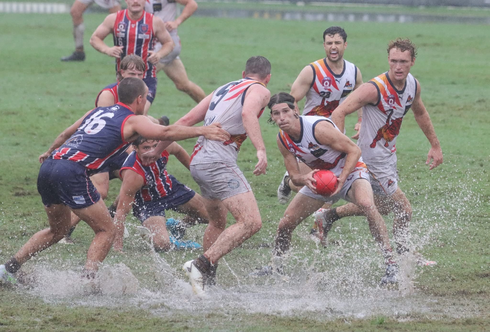TPIL Lawyers QAFL Premiership - pulse check - Play AFL