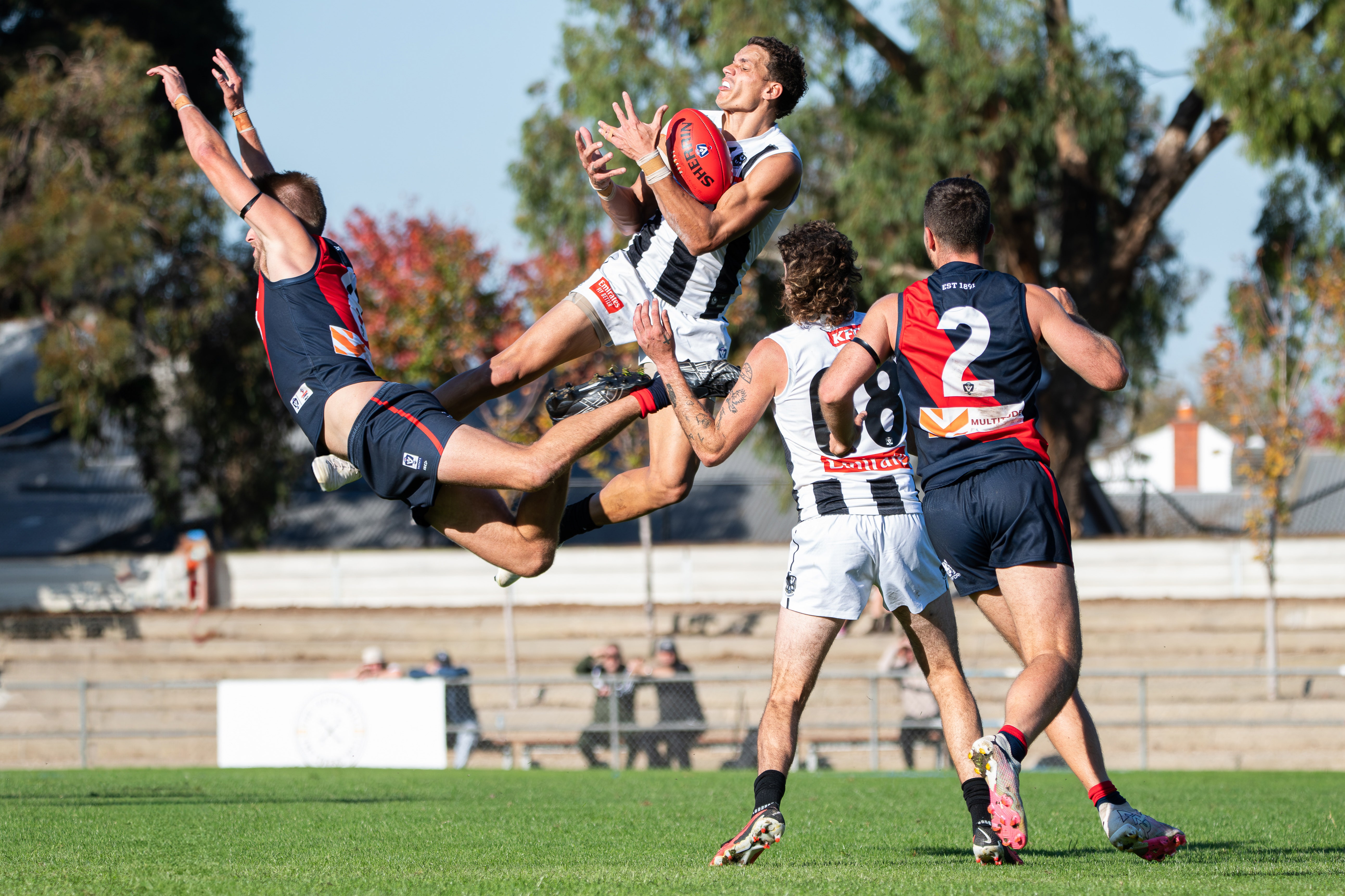 Ash Johnson Mark - By Riley Lockett